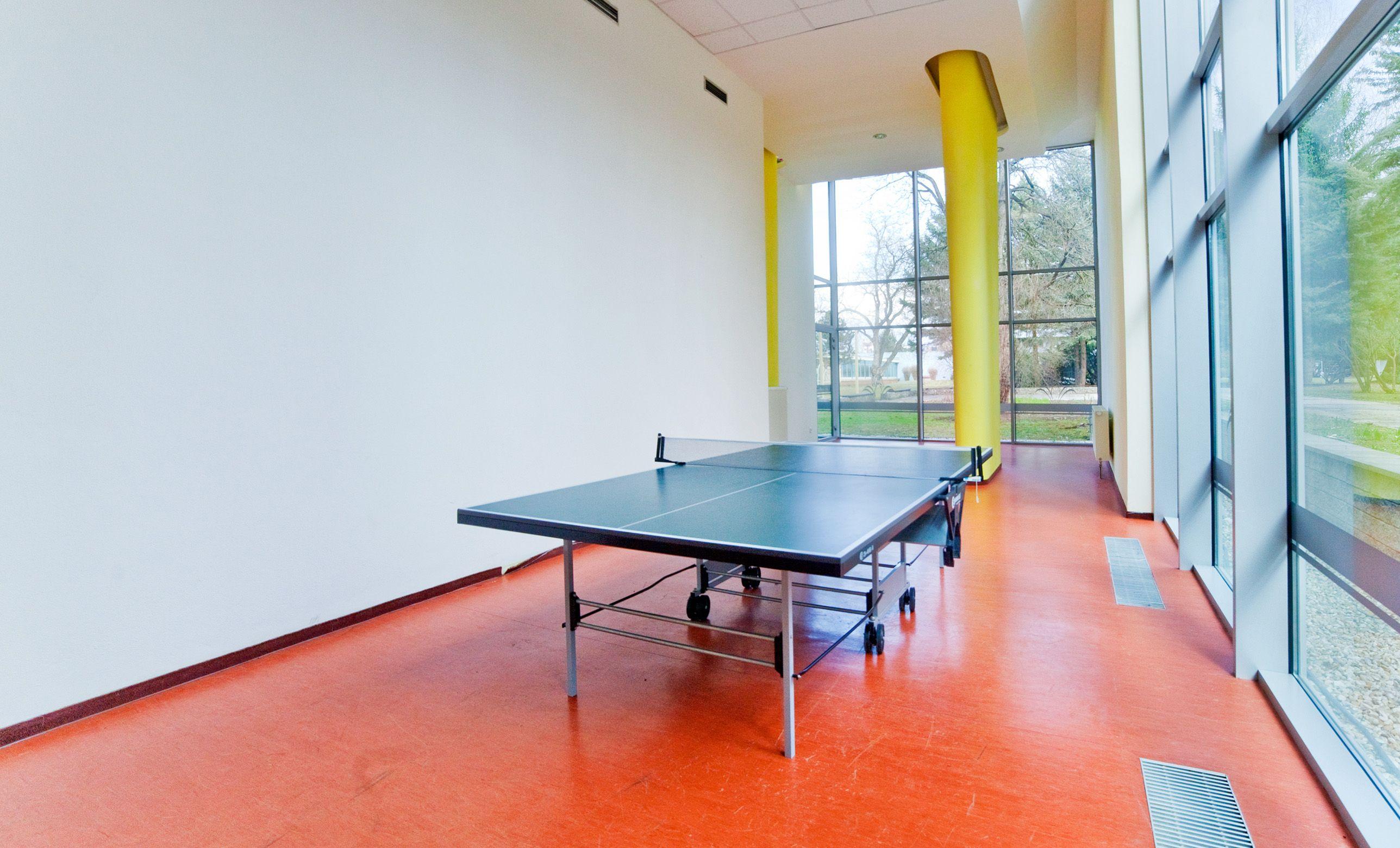 table tennis